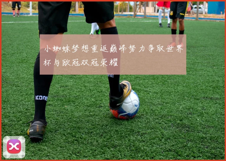小蜘蛛梦想重返巅峰努力争取世界杯与欧冠双冠荣耀