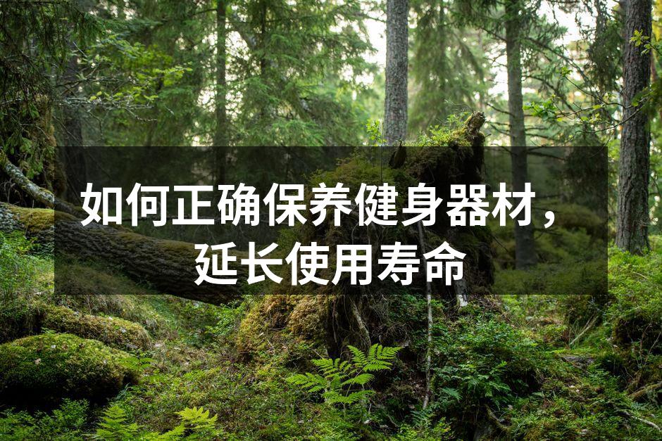 如何正确保养健身器材，延长使用寿命