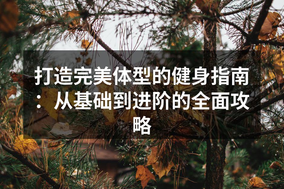 打造完美体型的健身指南：从基础到进阶的全面攻略