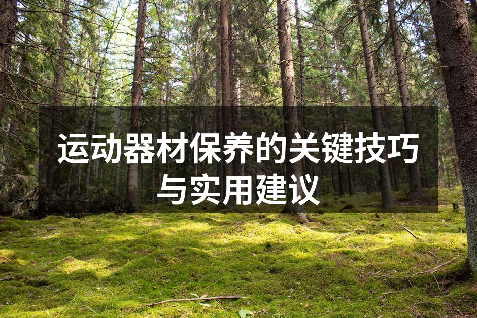 运动器材保养的关键技巧与实用建议