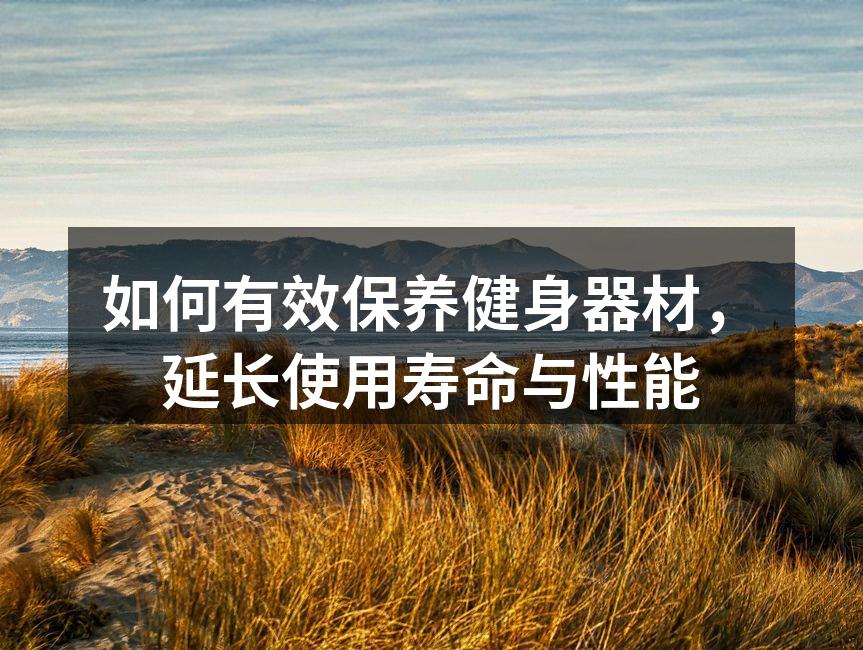 如何有效保养健身器材，延长使用寿命与性能